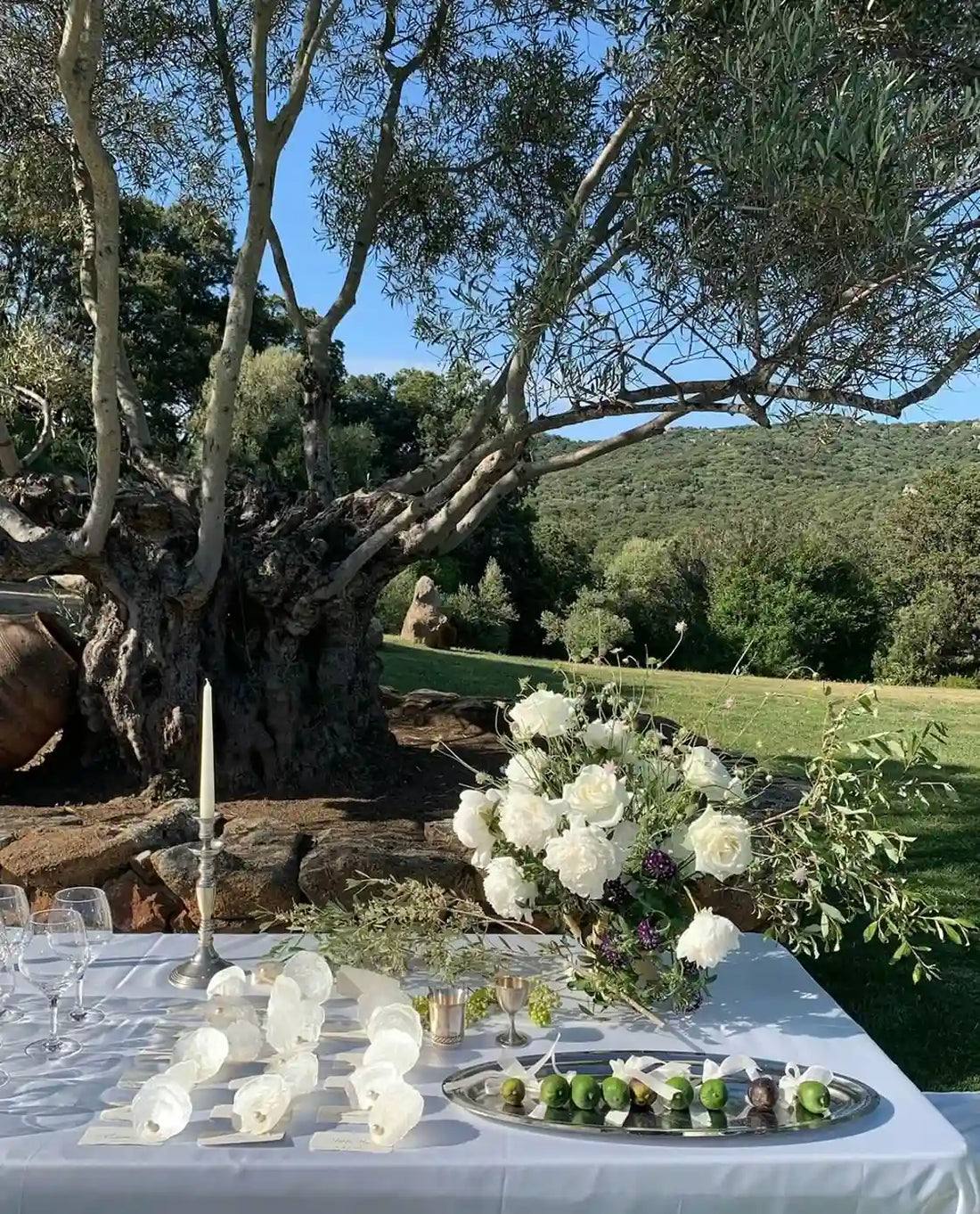 Mariage Champêtre : Guide Complet de la Décoration Parfaite